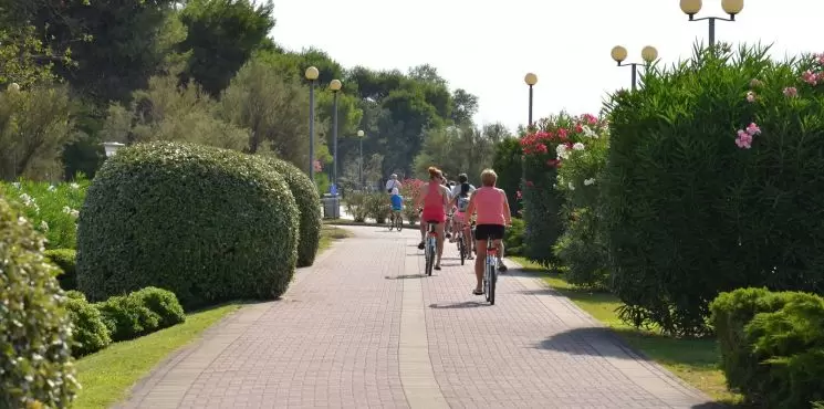 Apollo Scala apartmanházak/ Lido dei Pini_0