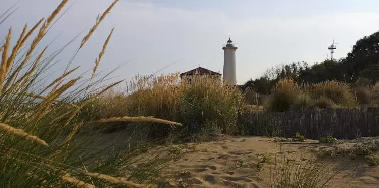 Atollo apartmanház/ Lido dei Pini_2